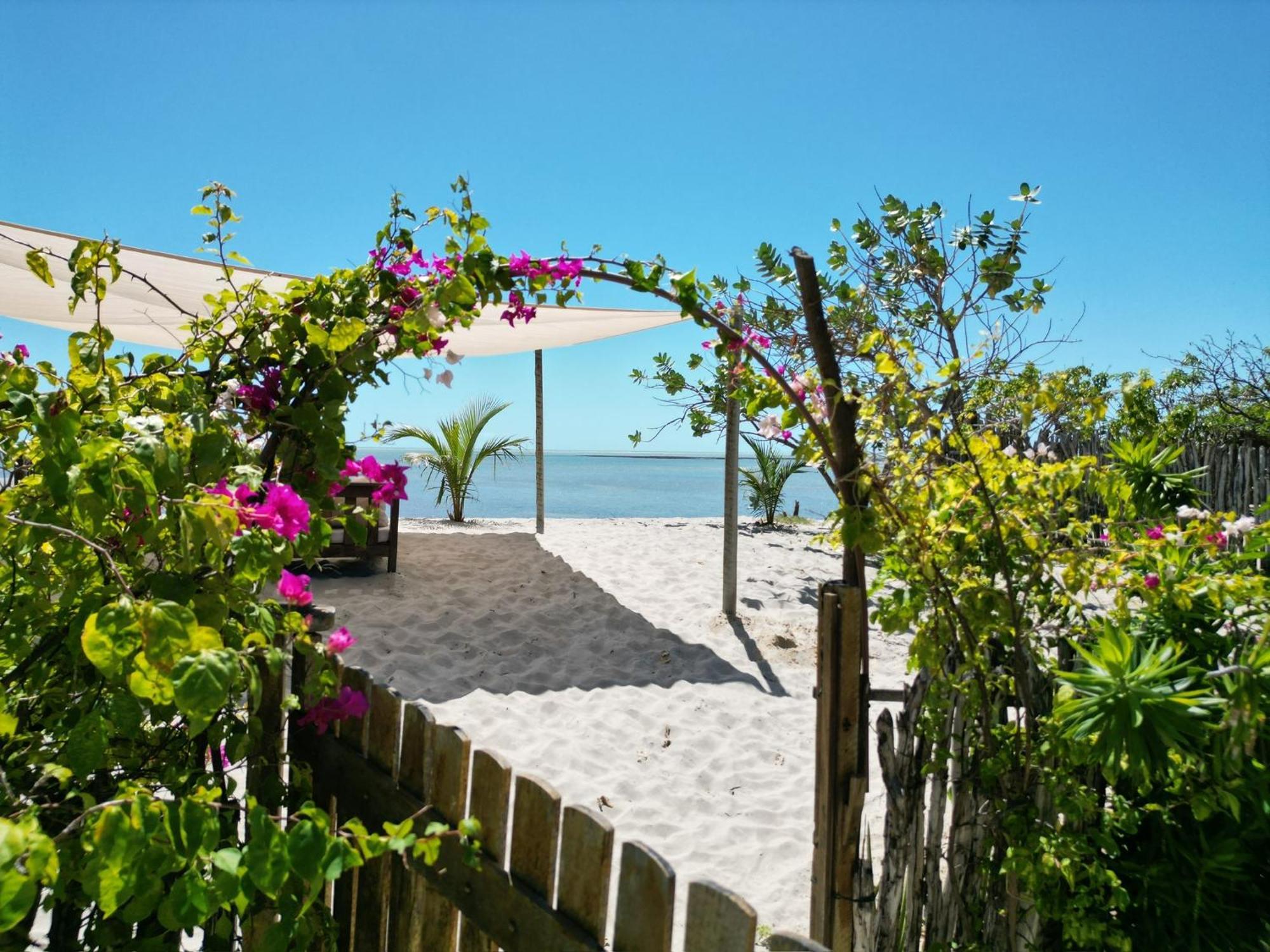 Casa Camurupim Barra Grande  Bagian luar foto